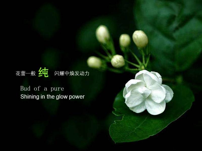 关于iphone的ppt模板 关于iphone的ppt模板