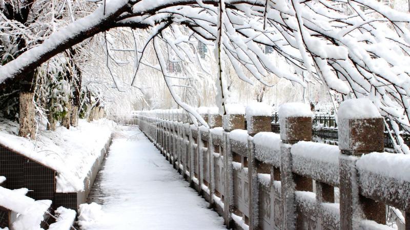 背景图片,相册,