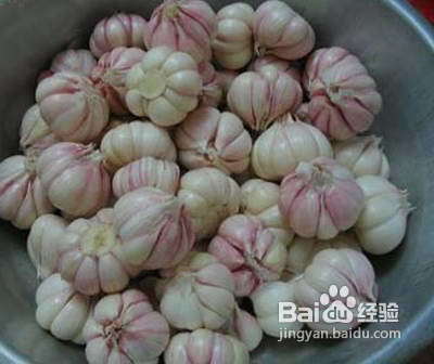 糖醋蒜的腌制方法图 糖醋蒜的腌制方法 糖蒜的