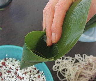 芦苇叶包粽子的方法与步骤 包粽子的方法图解