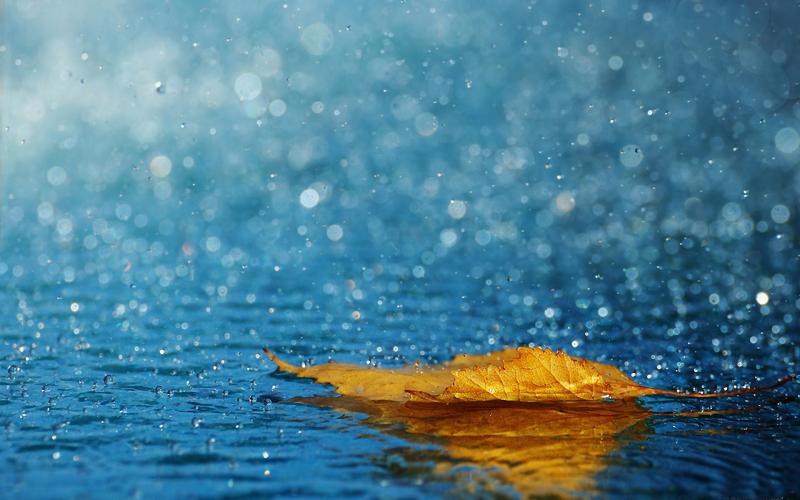 雨中唯美意境图片 雨中唯美伤感意境图片   pp