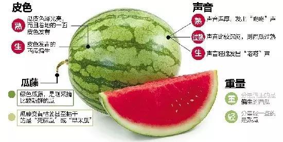 吃了这种西瓜后,会出现恶心、呕吐、腹泻等中