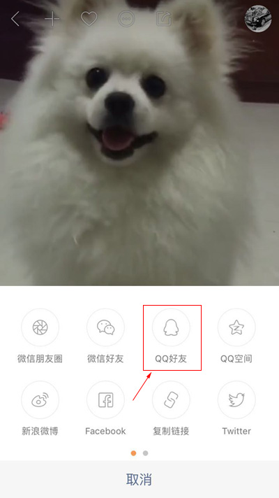 快手视频怎么下载