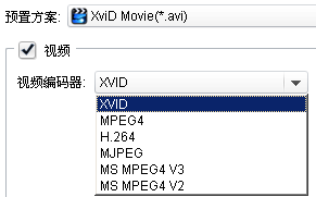 avi格式-视频编码器:XVID、MPEG4、H.264、MJPEG